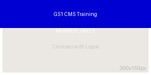 GS1 member organisation logo 4