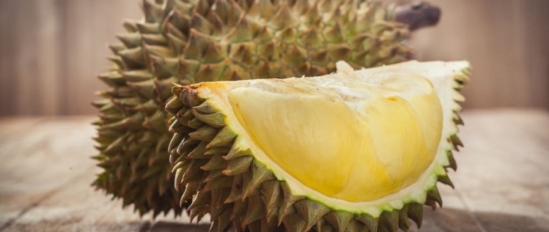 Securing the durian export supply chain from Malaysia to China