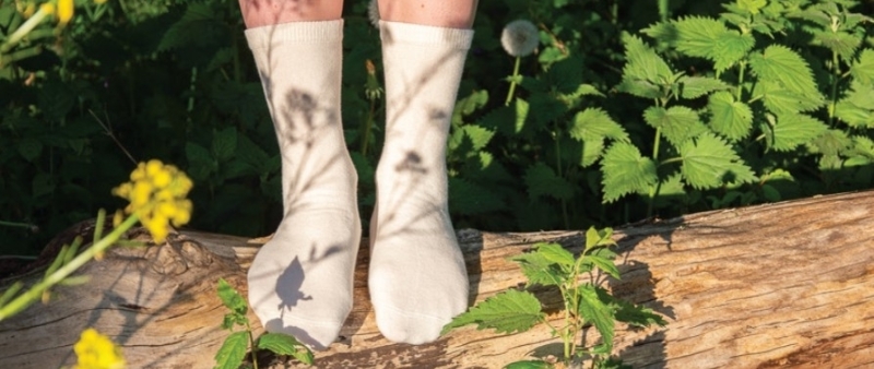 Sustainable socks with a QR Code powered by GS1 label on natural wood, showcasing sustainability